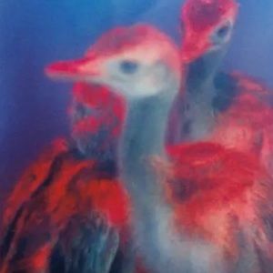 Meet your Posher, Angelina